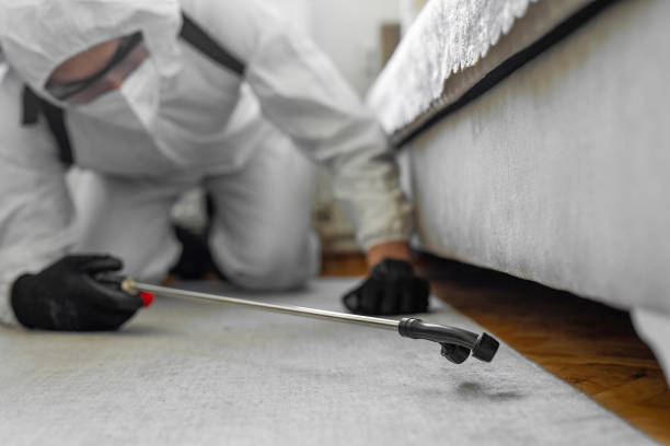 Professional Cockroach Control technician working in Lake Riverside, CA